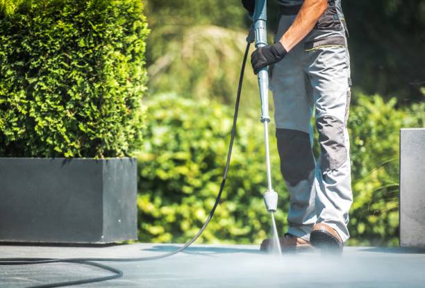 Best Dumpster Area Cleaning  in Whitesboro, TX