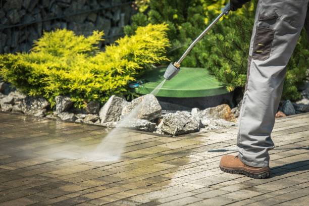 Best Factory Floor Cleaning  in Whitesboro, TX