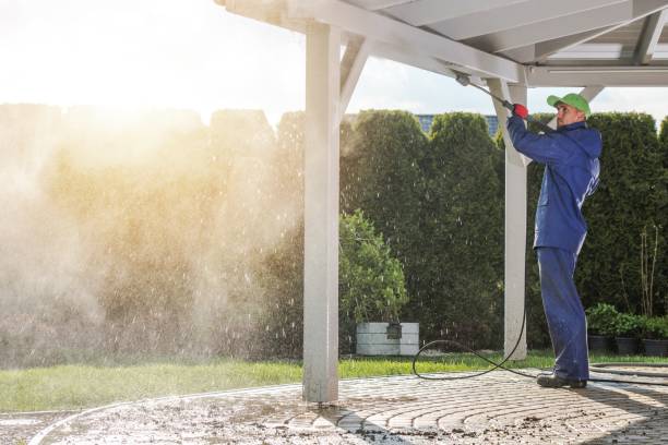 Best Gutter Cleaning  in Whitesboro, TX